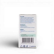 Focus Elixir (FE)